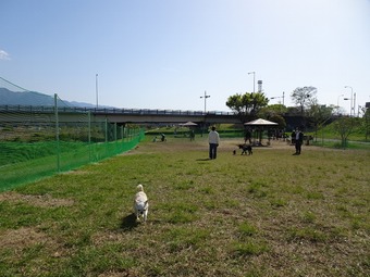 DSC02458