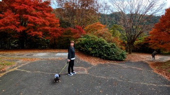 �����꡼�󥷥�å� 2025-11-25 211049