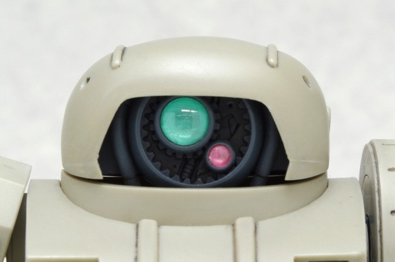 IMGP5055r