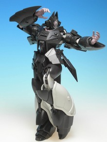 BLACK017