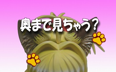 #2 ���ޤǸ����㤦��