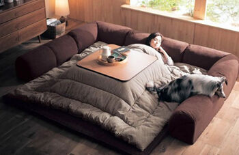 kotatsu_table_bed_from_japan