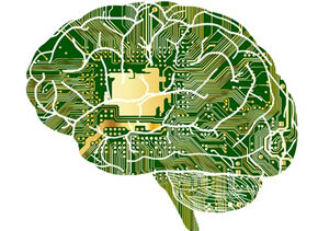 anatomy-g76d109c2a_640