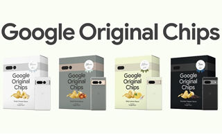 google_original_chips_l_03