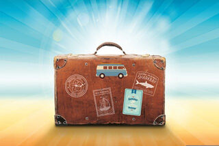 luggage-g890563551_640