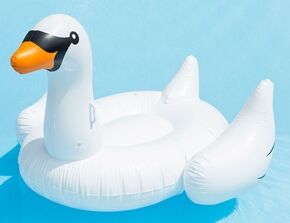 Inflatable-Swan-Pool-Float_l_01