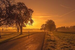 outdoors-578650_960_720