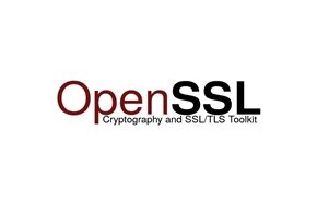 how-to-install-openssl-1-1-1i-in-centos-8