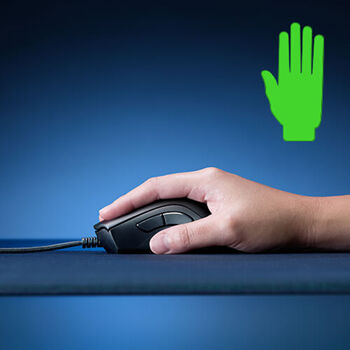palm-500x500