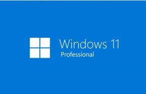 windows-11-pro-1pc_l_01