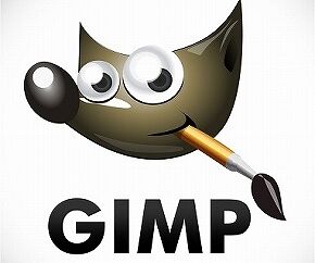 GIMP-1576153096_l_01