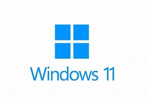 windows-11-logo_39283_l_01