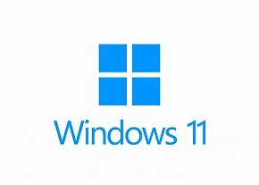 windows-11-3006354_l_01