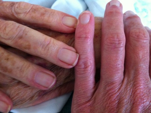 252836_10150220189339281_519309280_6758550_4421052_n