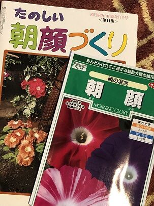 アサガオ