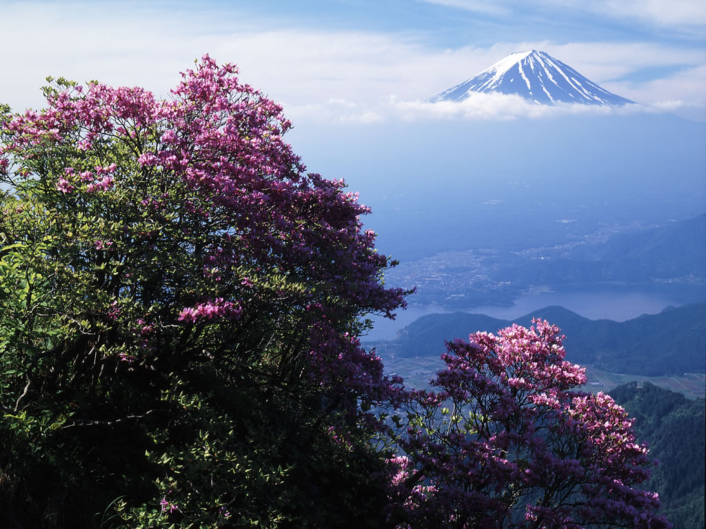 fuji-sun10