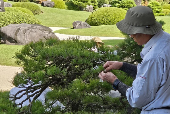 ���ϡ��ݻ��αĤߤ���˽ɤ�