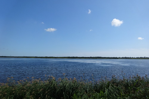 DSC06458