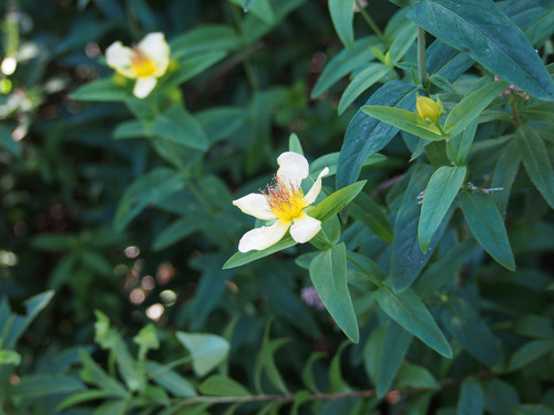 P7244231