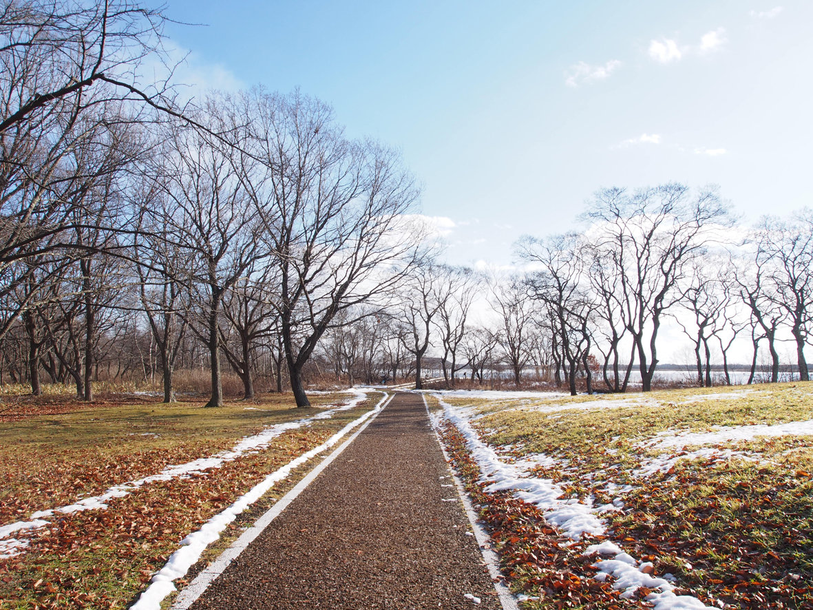 雨降り後のウトナイ ウトナイ湖サンクチュアリ ブログ