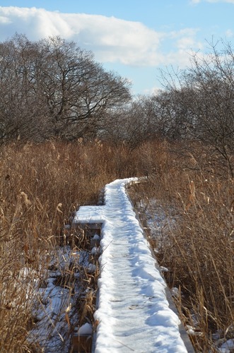 DSC_0179
