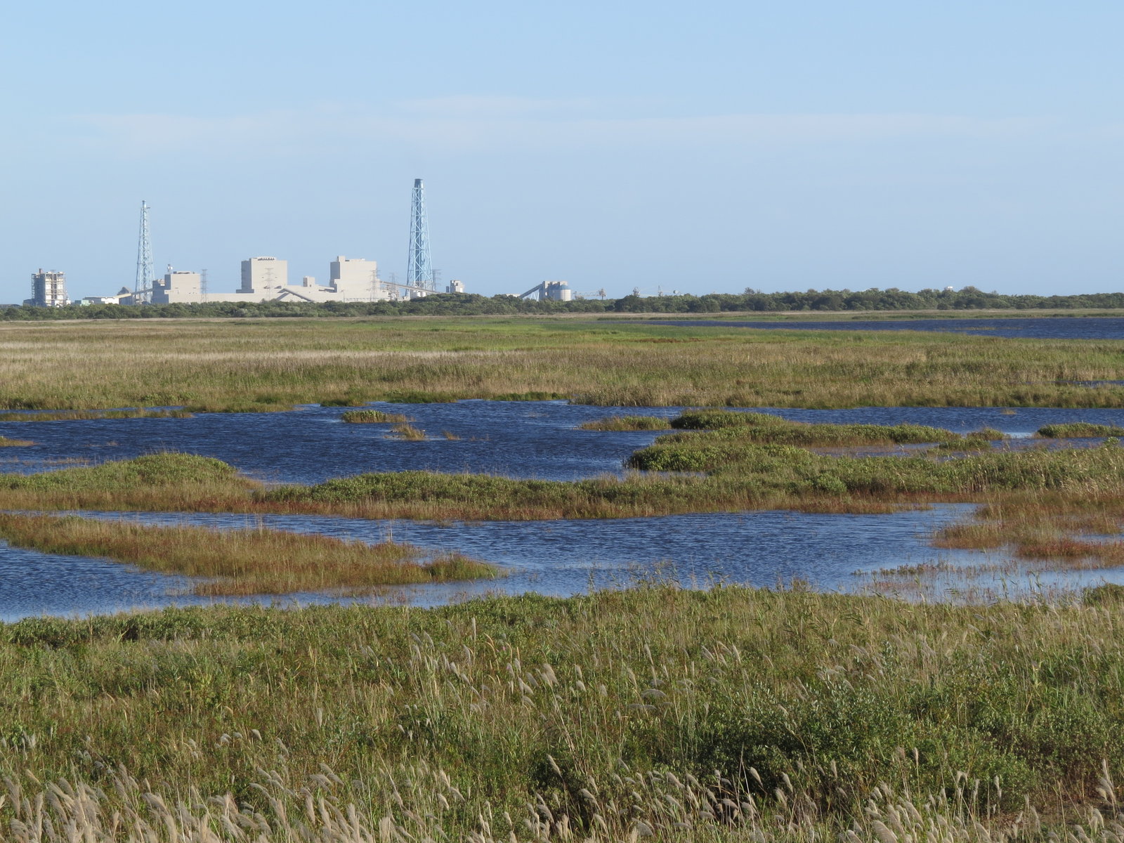 勇払原野とことこツアー 参加者を募集中 ウトナイ湖サンクチュアリ ブログ
