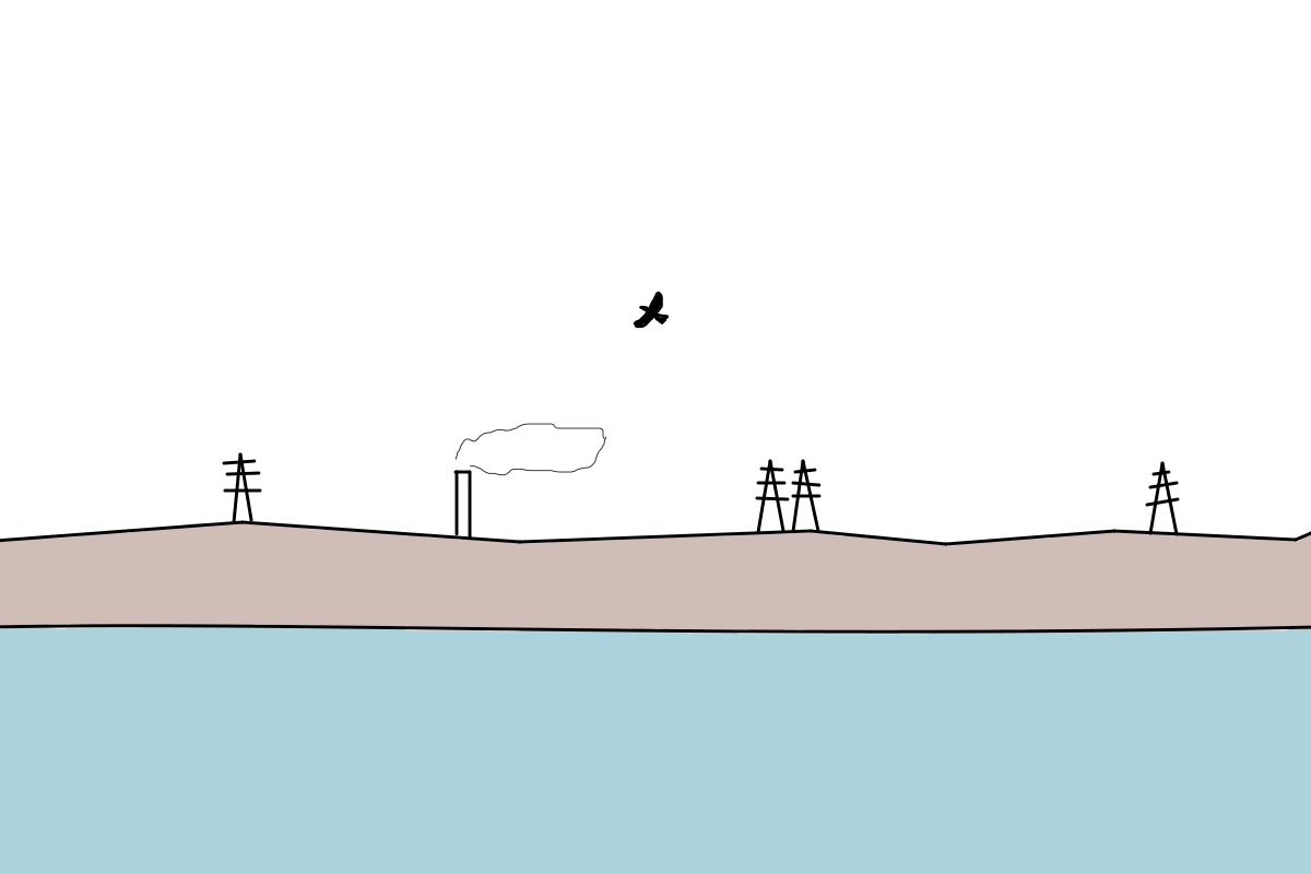 飛んでるのは何 ウトナイ湖サンクチュアリ ブログ