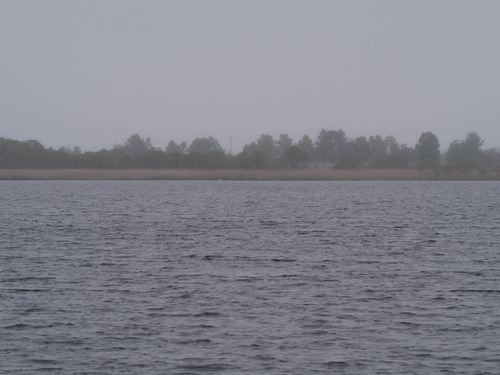 P5245223