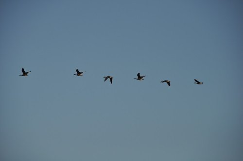 写真2.
