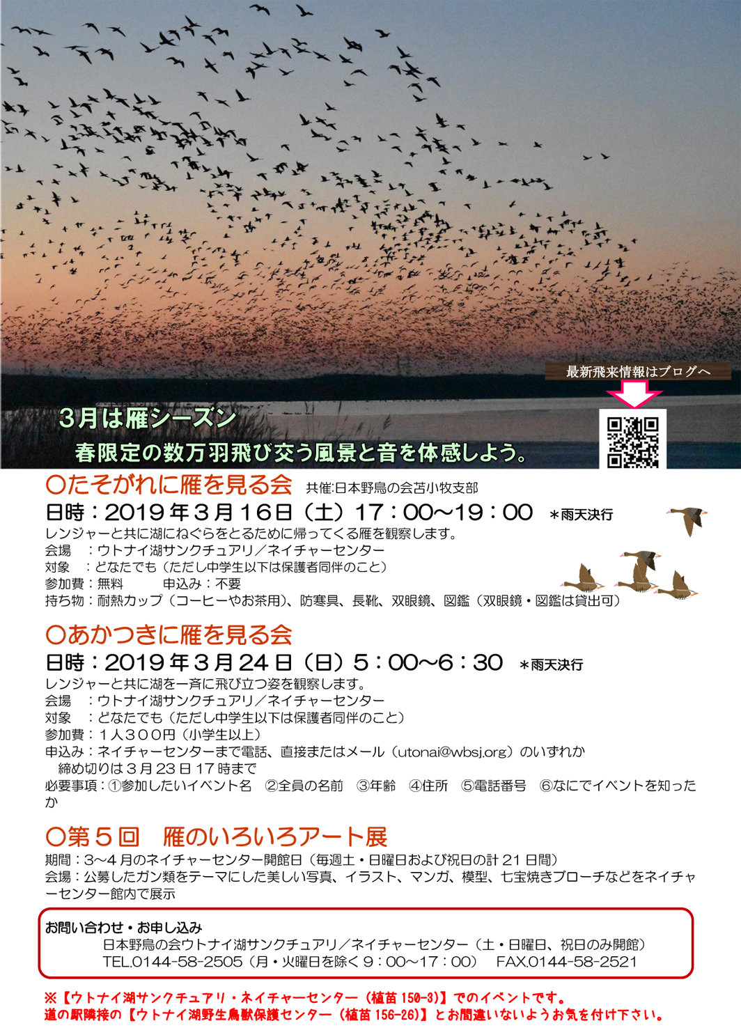 雁ウォッチングイベントのご案内 ウトナイ湖サンクチュアリ ブログ