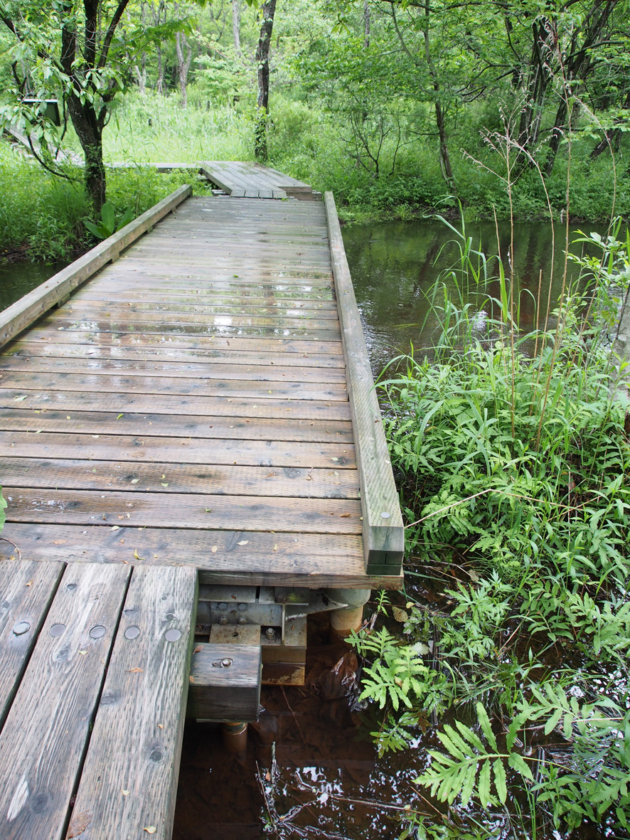 水かさが増すウトナイ湖 ウトナイ湖サンクチュアリ ブログ
