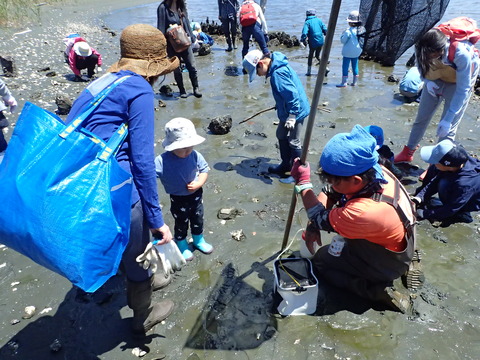 20180520野鳥公園フェス (281)