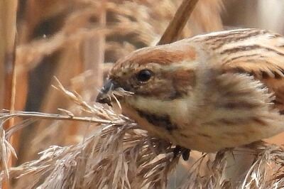 DSCN2260 - コピー