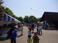 1705_1_SpringFestival1