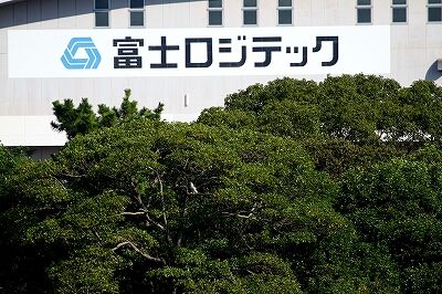 オオタカ_231020_東京港野鳥公園_恩田幸昌_MG_8763_trim