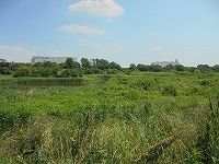 1705_RengersMessege_2_DSC03274