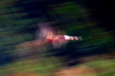 ハイイロチュウヒ_191122 _東淡水池