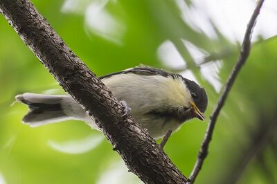 DSC_9827-強化-NR-3