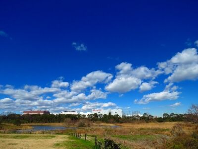 青空_200129_東淡水池