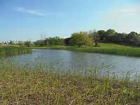 1705_RengersMessege_1_DSC02395