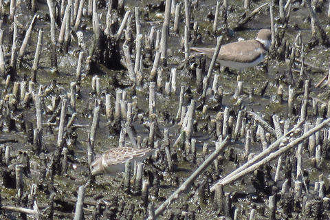 18.08.22 トウネン_01