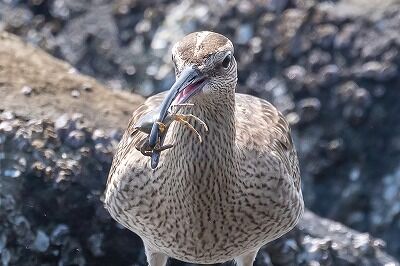 DSC_3503-DeNoiseAI-standard