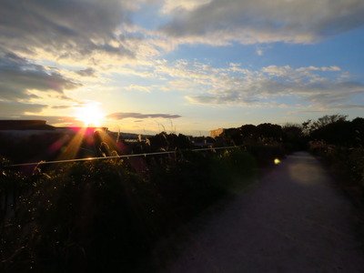 夕方のイソイギ橋