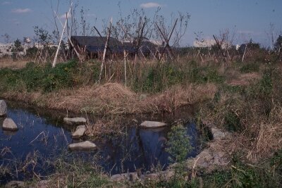 ポジ_1990年頃_自然生態園_小川