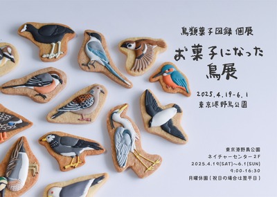 お菓子になった鳥展メインビジュアル (1)