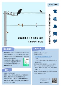 電柱鳥類学チラシ画像