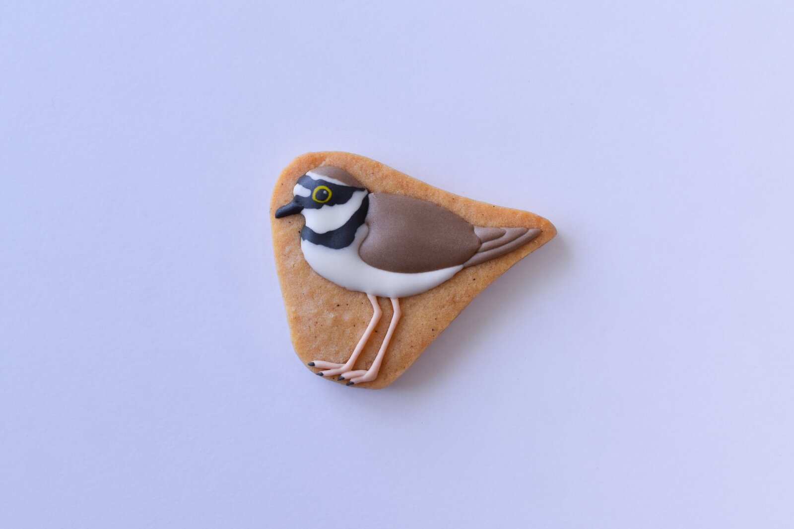 鳥類菓子図録・クッキー販売について : 東京港野鳥公園 レンジャーブログ