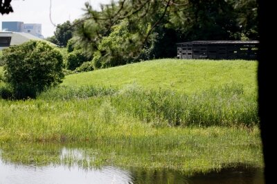 カイツブリ_営巣遠景_230616_東京港野鳥公園_恩田幸昌_MG_2514_trim