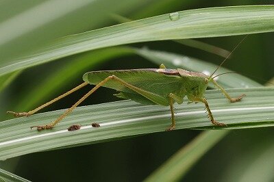 IMG_5060（トリミング・色調補正）