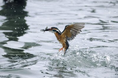 IMG_5953